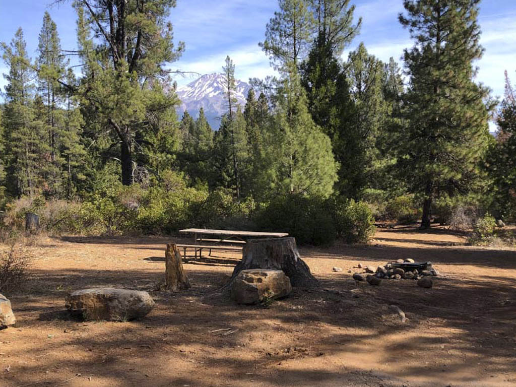 Picnic table at a tent site