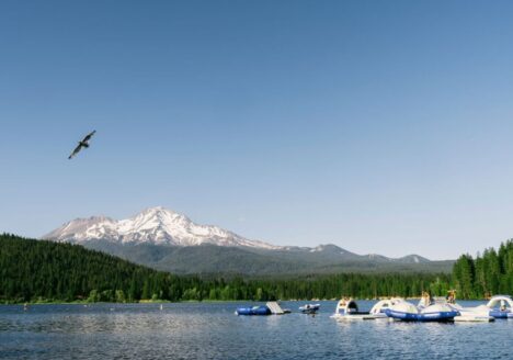 Lake Siskiyou Camp Resort Located in Mount Shasta, California